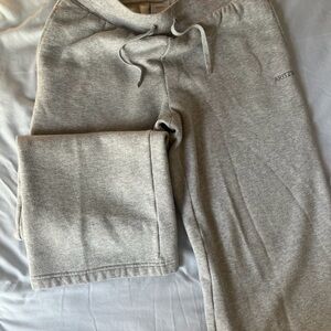 Aritzia Cozy Fleece Sweatpants in Gray